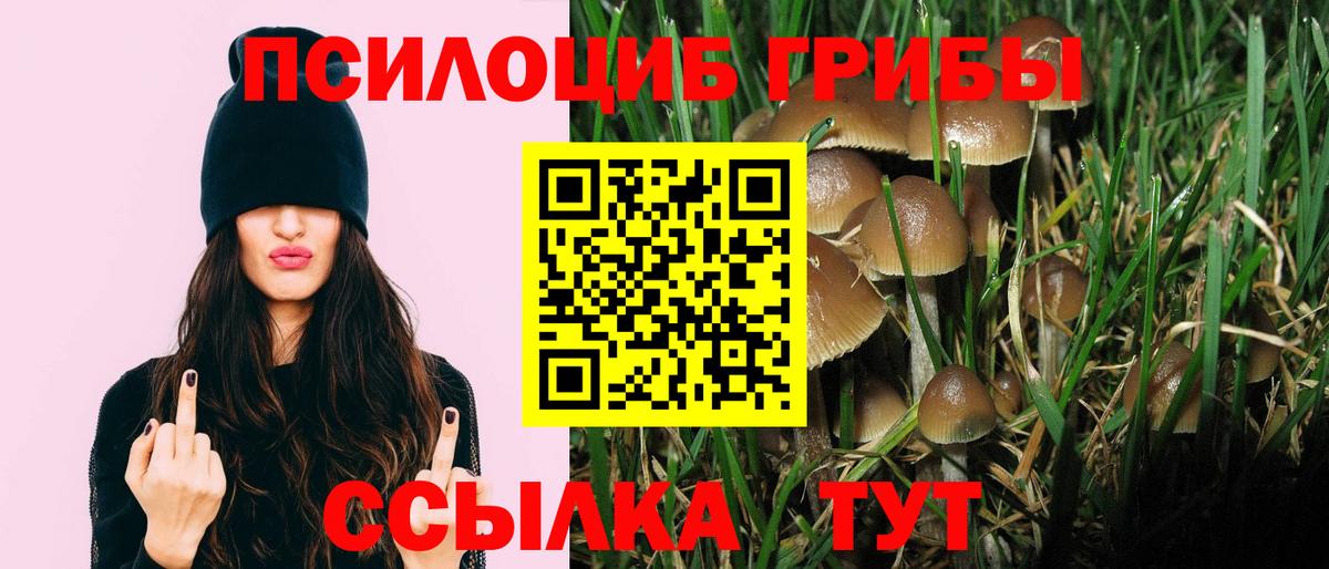 Ачхой-Мартан  Галлюциногенные грибы мухоморы  Галлюциногенные грибы ЛСД  где купить наркотик  Вход с VPN 