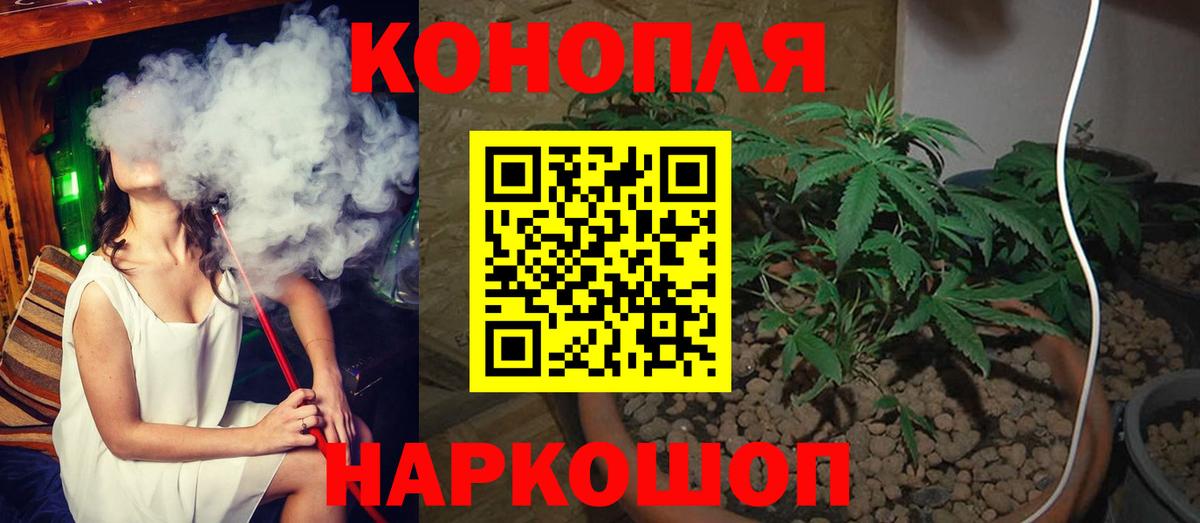 МАРИХУАНА гибрид Ачхой-Мартан